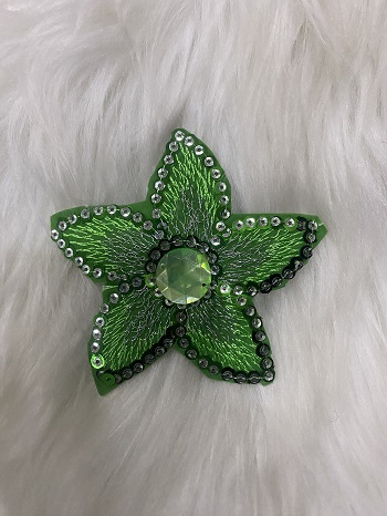 Green Star + Silver Sequins